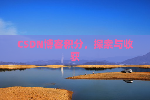 CSDN博客积分,探索与收获
