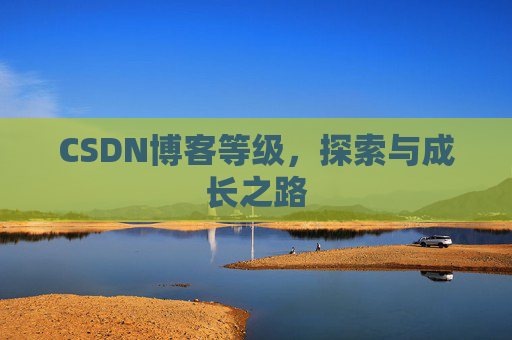 CSDN博客等级,探索与成长之路